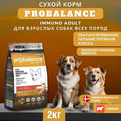 Сухой корм ProBalance Immuno Adult для взрослых собак всех пород с говядиной, 2 кг