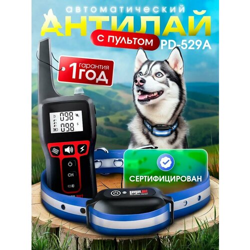 Электронный ошейник антилай с пультом