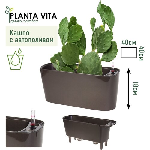 Кашпо PLANTA VITA 