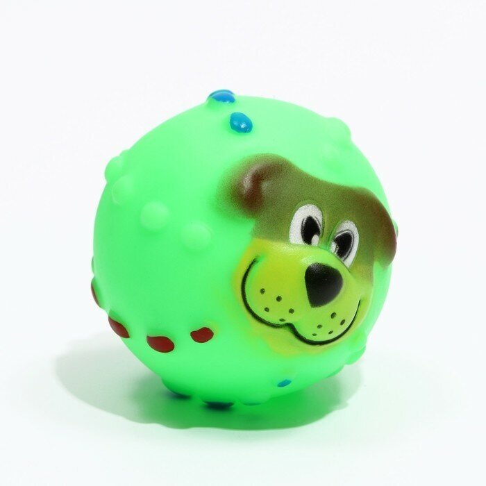 Игрушка пищащая "Мяч Джим"для собак, 6 см, зелёная - фотография № 5