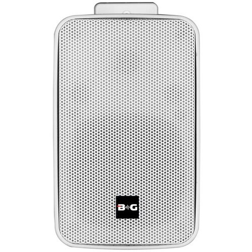 Громкоговоритель настенный - BG IP104W 974900₽