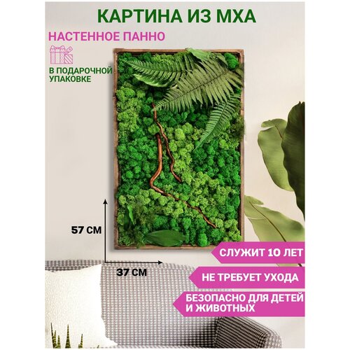 Панно Bloom Showroom из стабилизированного мха 