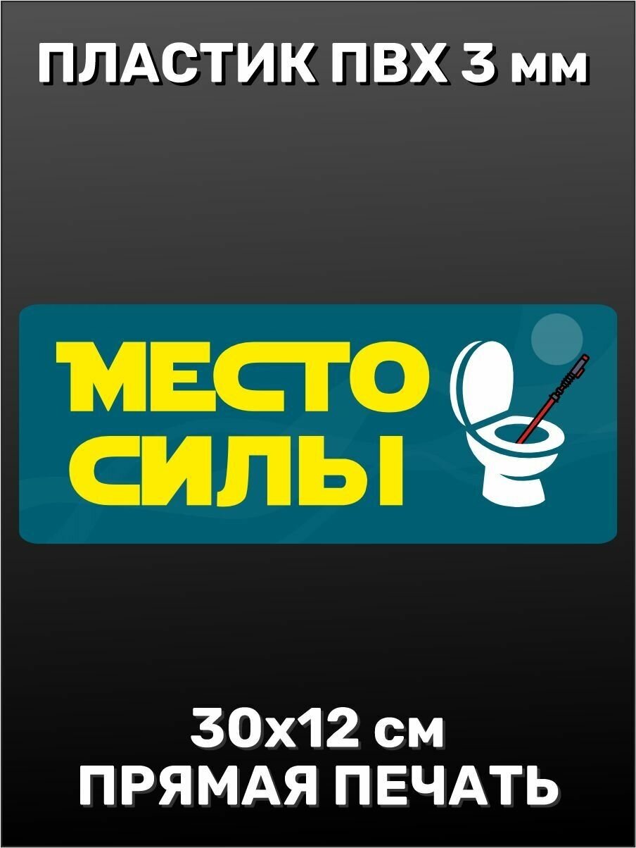 Информационная табличка на дверь - Место силы 30х12 см