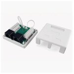 Розетка компьютерная Hyperline RJ-45 (8P8C) SB1-2-8P8C-C5e-WH , категория 5e, двойная, внешняя, Dual IDC - изображение