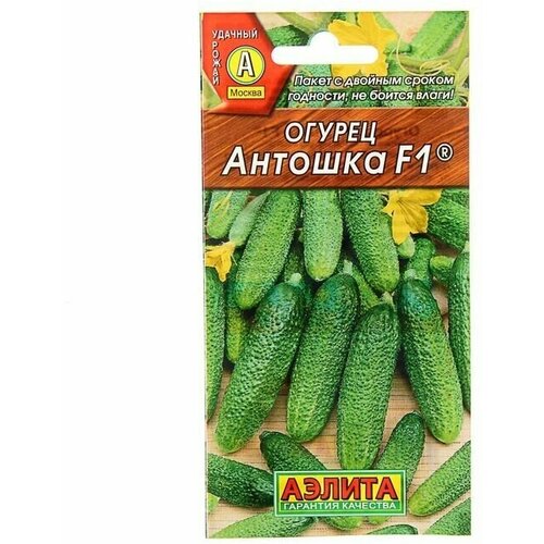 Семена огурца Антошка, F1, 0,3 г, 10 пачек, 5 пачек