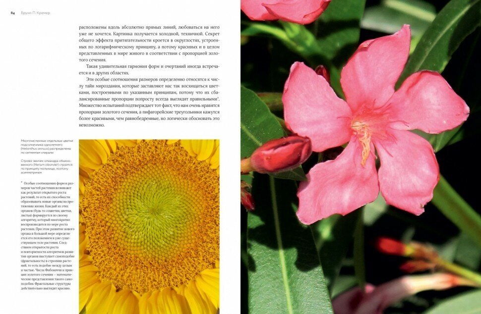 Цветы: Естественная история (Кремер Бруно П.) - фото №9
