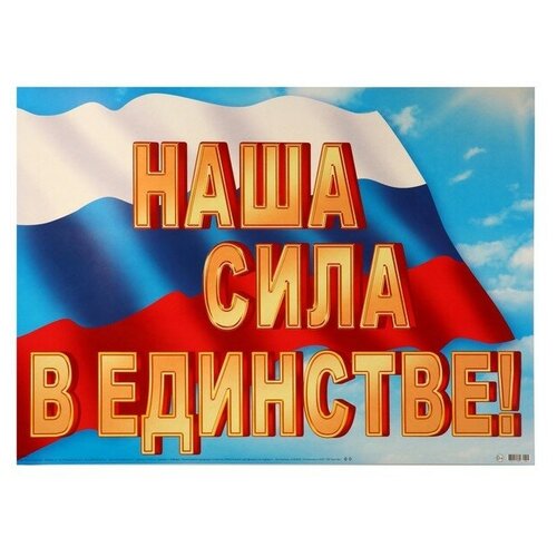 Плакат Наши сила в единстве флаг 697х505 см 9416066 266₽