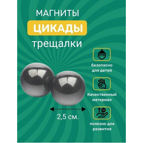 Магниты поющие цикады большие/ магниты трещотки 25х25 мм. 2 шт.