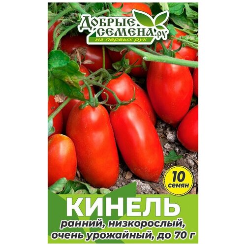 Семена томата Кинель - 10 шт - Добрые Семена. ру семена томата ананас бильбао 10 шт добрые семена ру