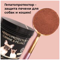 Кормовая добавка iPet Hepatoprotection для кошек и собак, 30 грамм