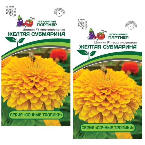 Семена Цинния F1 желтая субмарина /Агрофирма Партнер/ 2 упаковки по 4 шт. семян