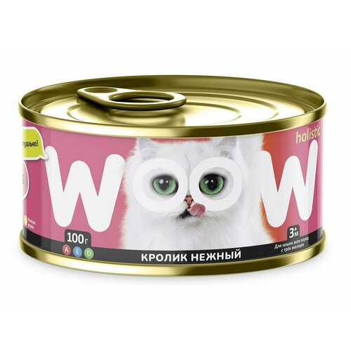 WOOW консервы для кошек Кролик нежный, паштет 100гр*6шт