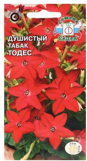 Семена цветов Душистый "Тодес "0.1 г