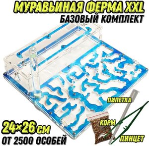 Большая муравьиная ферма "Вода" XXL 26х24 Базовый комплект