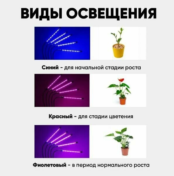 Фитолампа для растений полный спектр на прищепке, 4 лампы - фотография № 5