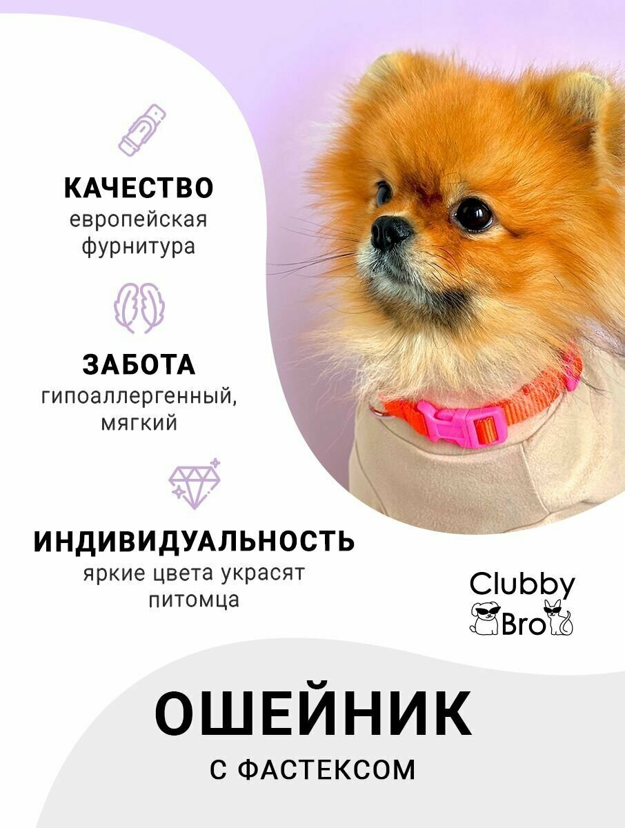 Clubby Bro Ошейник для собак мелких пород и средних пород,оранжевый-розовый,размер S - фотография № 1