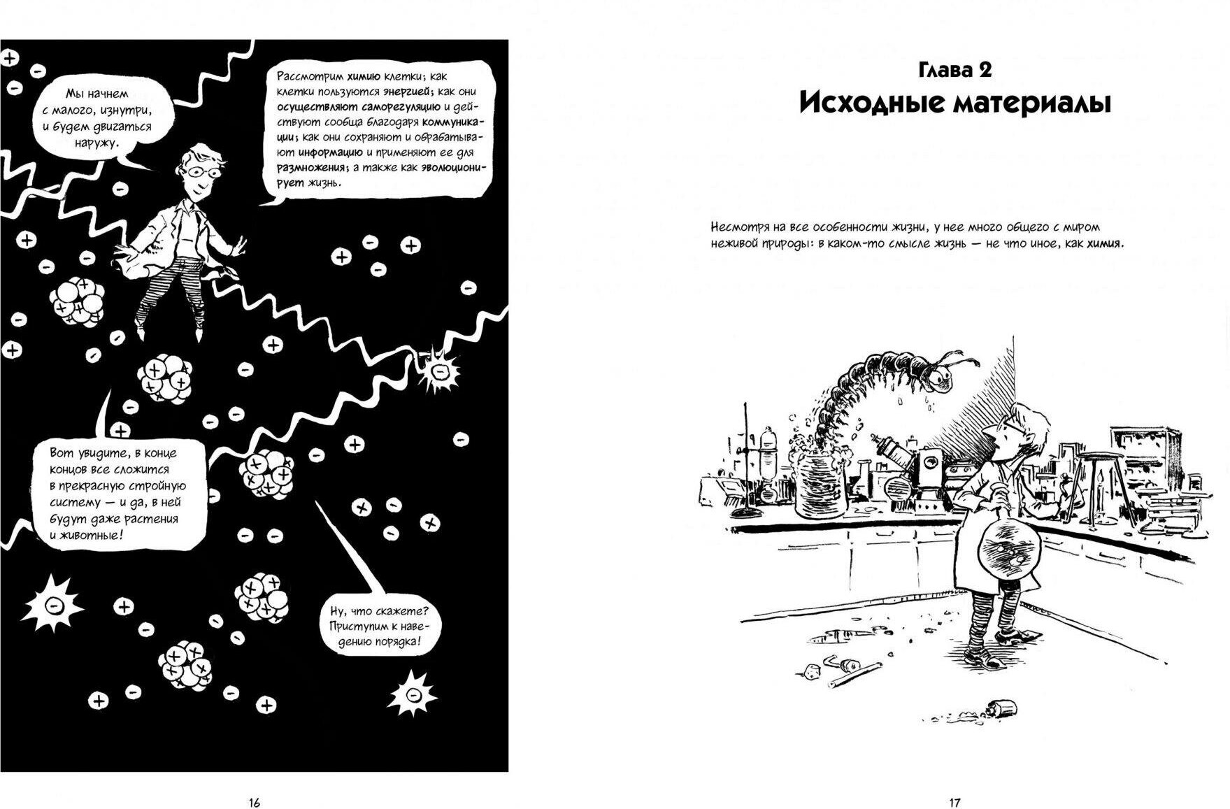 Книга Биология. Краткий курс в комиксах - фотография № 4