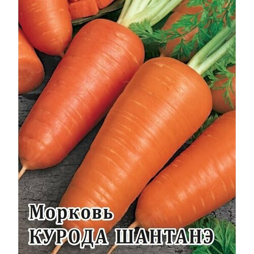 Семена Морковь Курода Шантанэ, 100г, Гавриш, Фермерское подворье