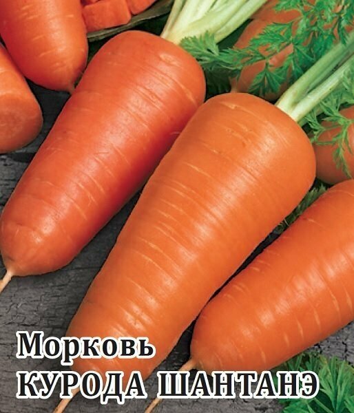 Семена Морковь Курода Шантанэ 100г Гавриш Фермерское подворье