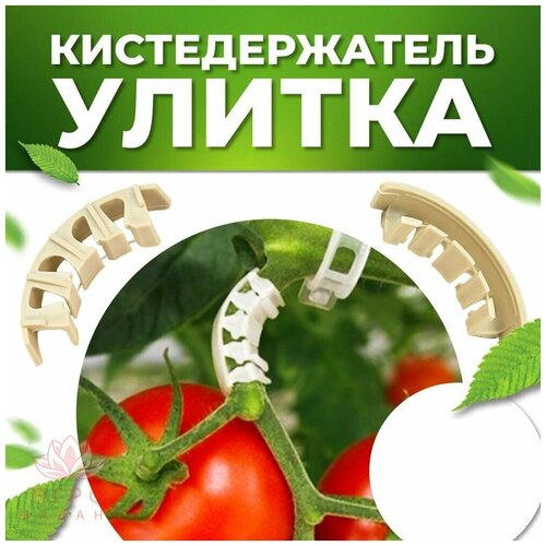 Кистедержатель, опора для кистей растений (для томатов/помидоров), веток, деревьев 100 штук