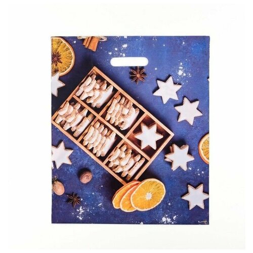 Пакет Пряничный набор глянец полиэтиленовый с вырубной ручкой 38х45 см 60 мкм 25 шт 1668₽