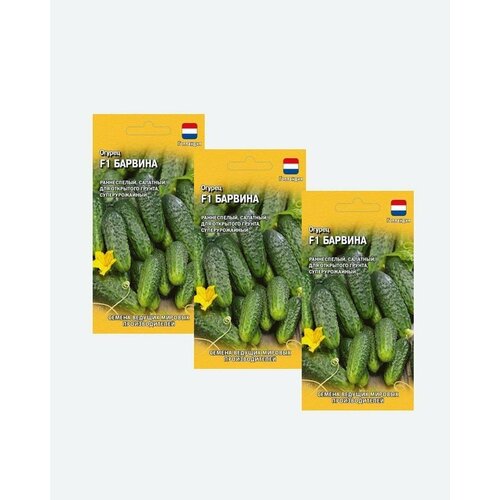 Семена Огурец Барвина F1, 5шт, Гавриш, Ведущие мировые производители, Nunhems(3 упаковки)