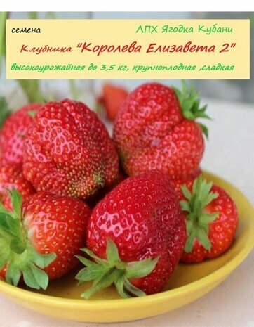 Клубника "Королева Елизавета 2" семена 30 шт.