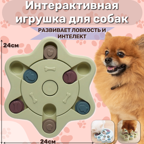 Игрушка для собак и кошек головоломка /интерактивная игрушка/зеленая