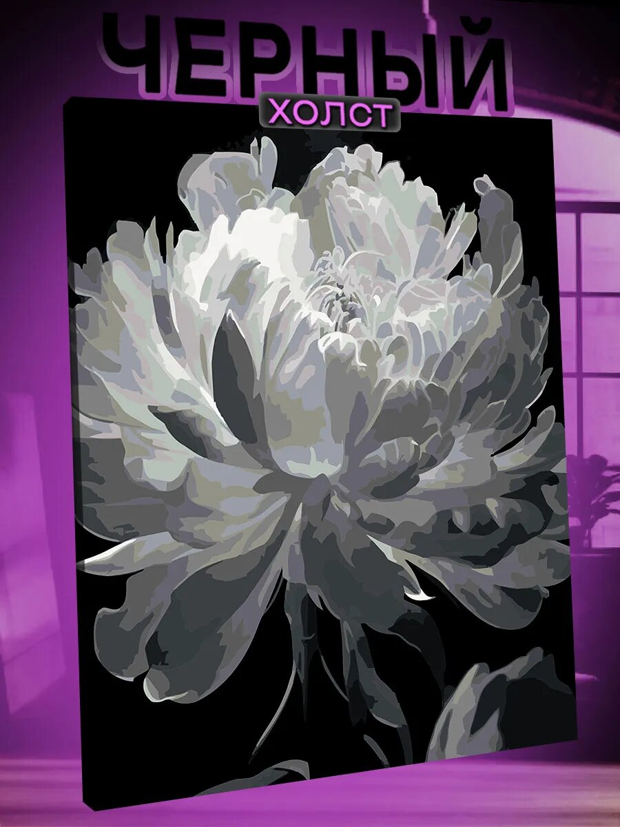 Картина по номерам на черном холсте