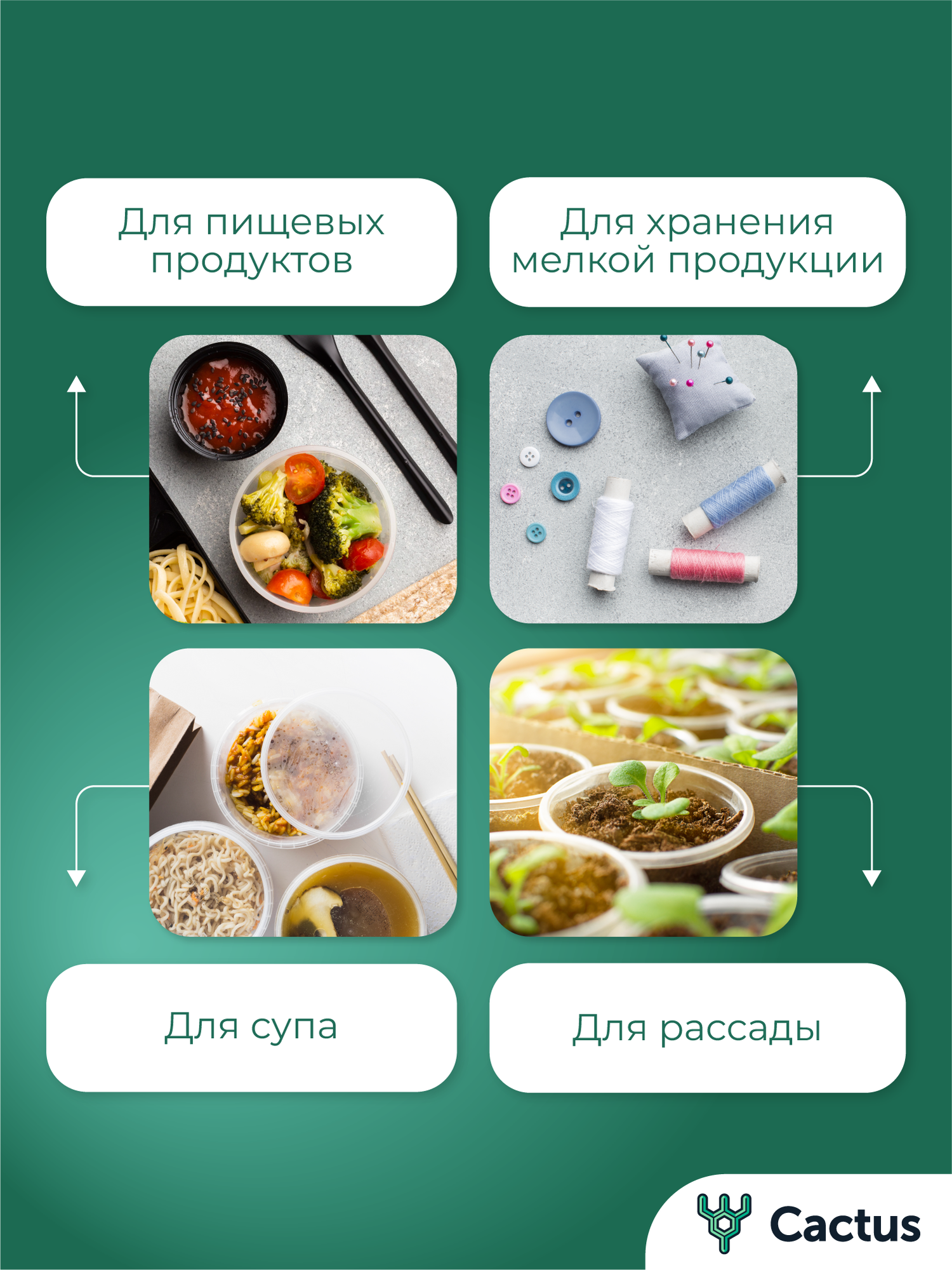 Контейнеры Для Биопроб Одноразовый контейнер прозрачный с крышкой 360 мл, набор 20 шт для хранения еды, обедов, специй и заморозки продуктов, Cactus