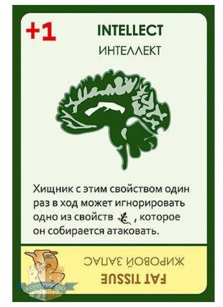 Настольная игра Правильные игры Эволюция: Время летать — фото 1