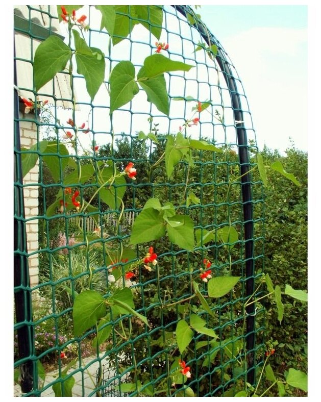 Решетка садовая зеленая 1*20м ячейки 50*50 - фотография № 3