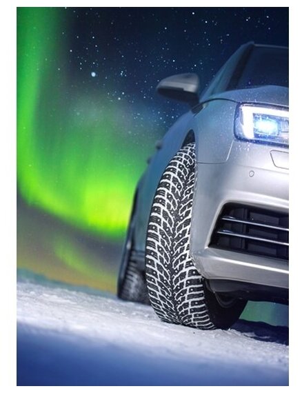 Nokian Hakkapeliitta 9 195/55 R16 87T шип. - фотография № 2