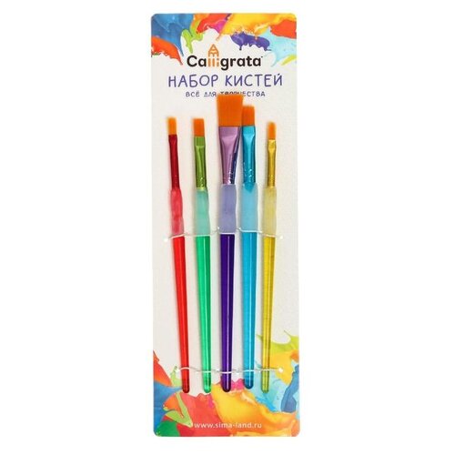 фото Набор кистей, ворс "нейлон", 5 штук, круглые, с цветными ручками, с резиновыми держателями, calligrata
