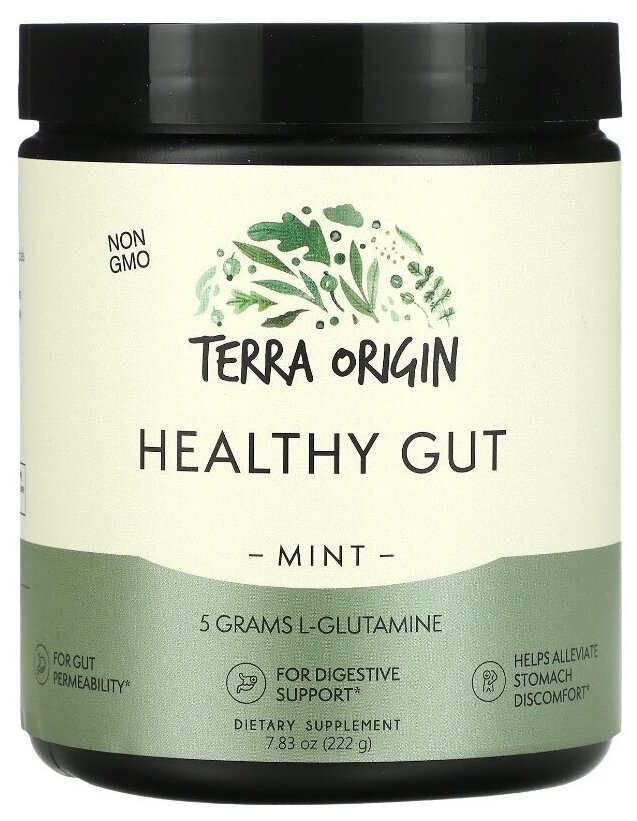 Terra origin, healthy gut, добавка для нормализации функции желудочно-кишечного тракта, вкус мята, 222 гр