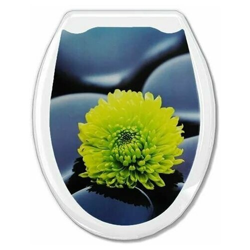 Сиденье для унитаза Океан Цветок 104-406-00