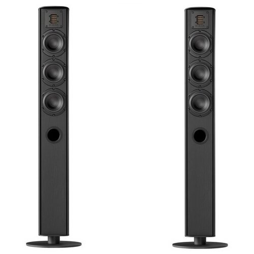 Напольная акустика Piega Ace 50 black aluminum 21700000₽