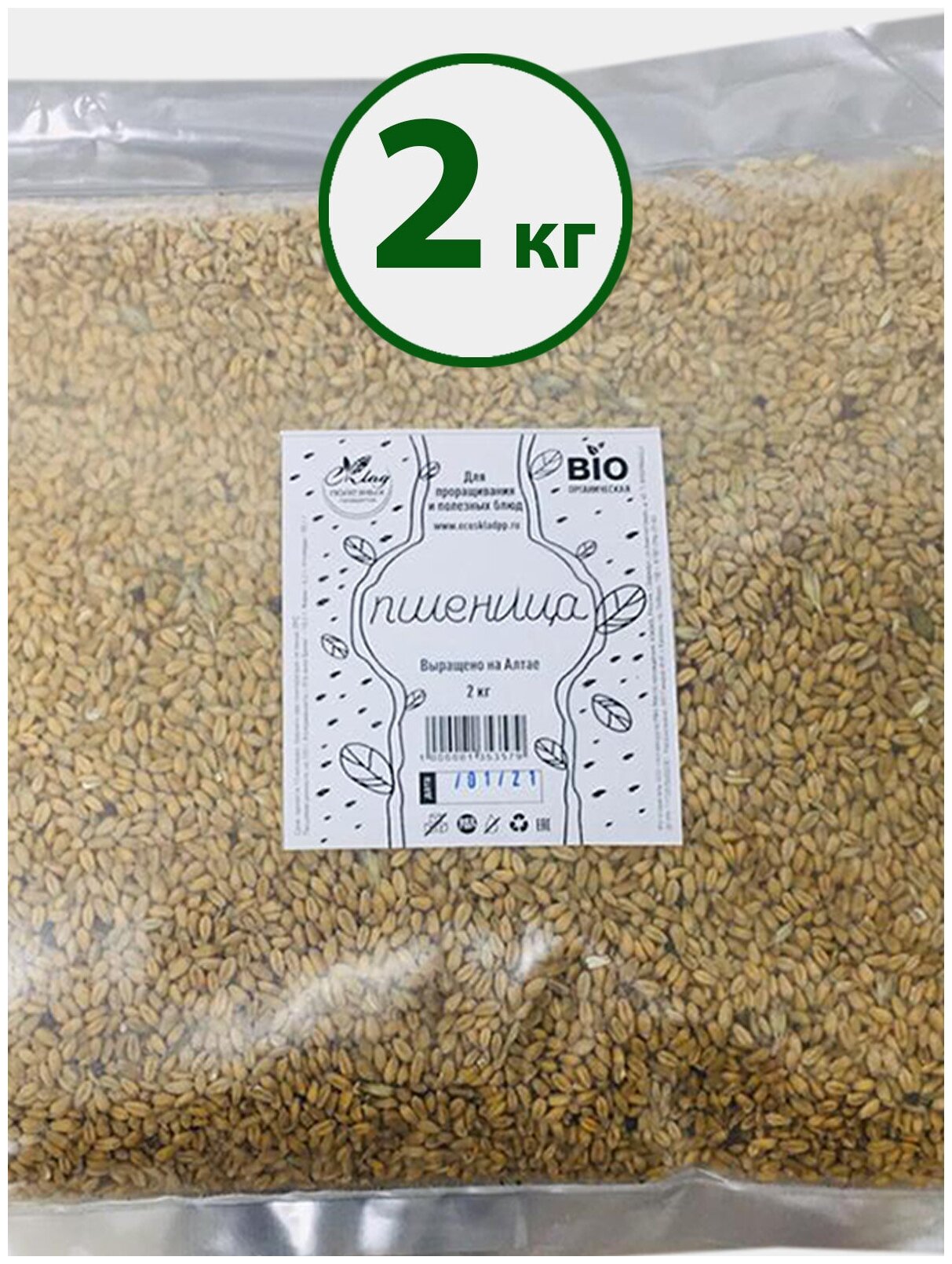 Пшеница Семена БИО для проращивания, 2 кг. биоорганическая, Пшеница для проращивания, Пшеница для микрозелени, проростки микрозелень, Семена пшеницы