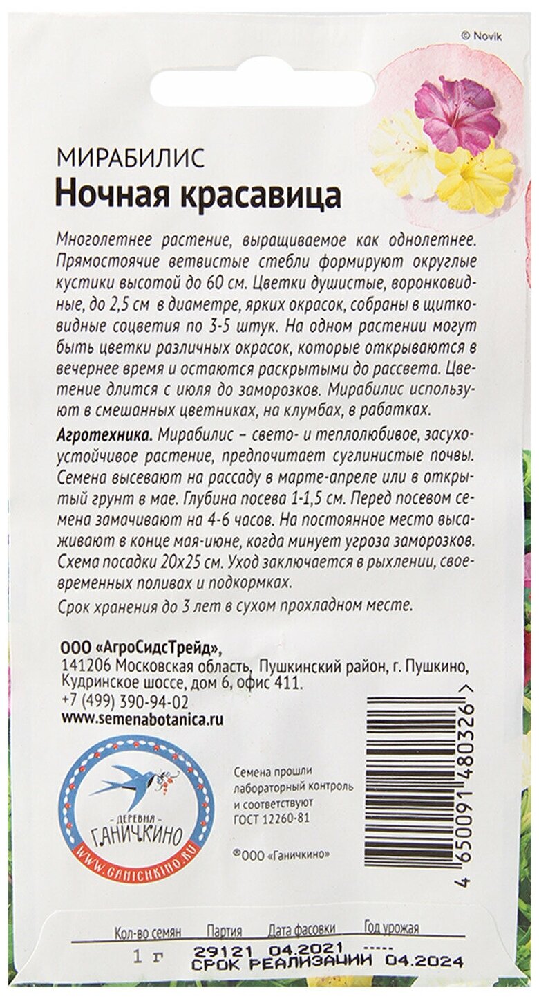 Мирабилис Октябрина Ганичкина - фото №4