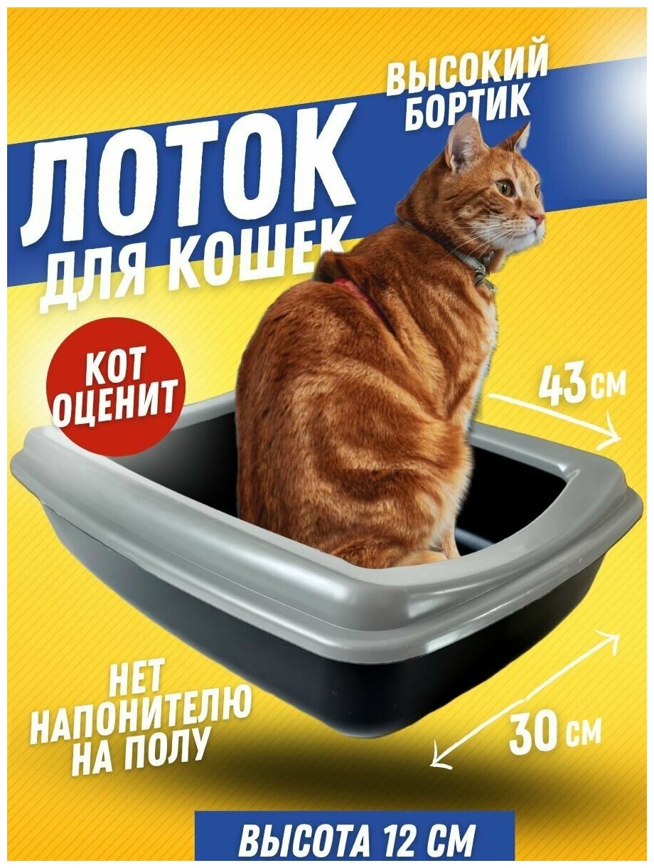 Лоток кошачий / Туалет для кошек со съемным ободком / с высоким бортиком