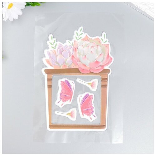 Наклейка на выключатель Суккуленты и бабочки окно 85х85 см объемная 26х165 см 388₽