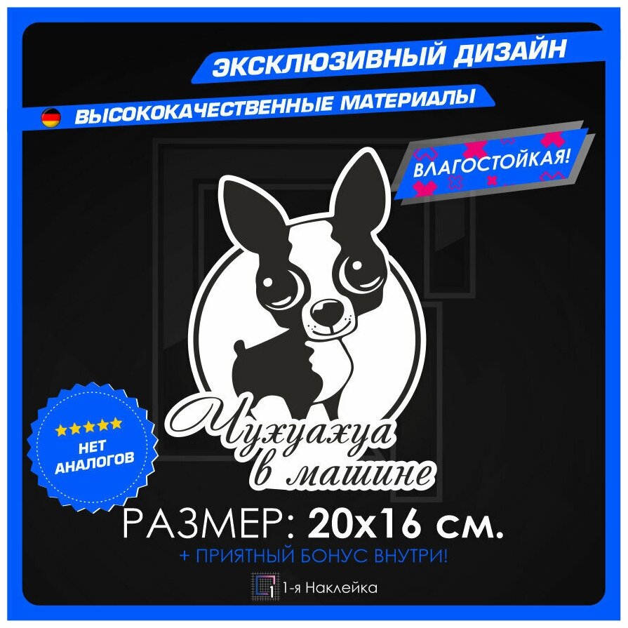 Наклейка стикер на автомобиль на стекло на кузов автомобиля Чихуахуа в машине 20х16 см