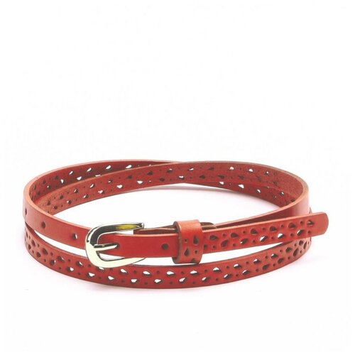 фото Y-174-03 бургунди ремень (кожа) fancy's bag jane's story