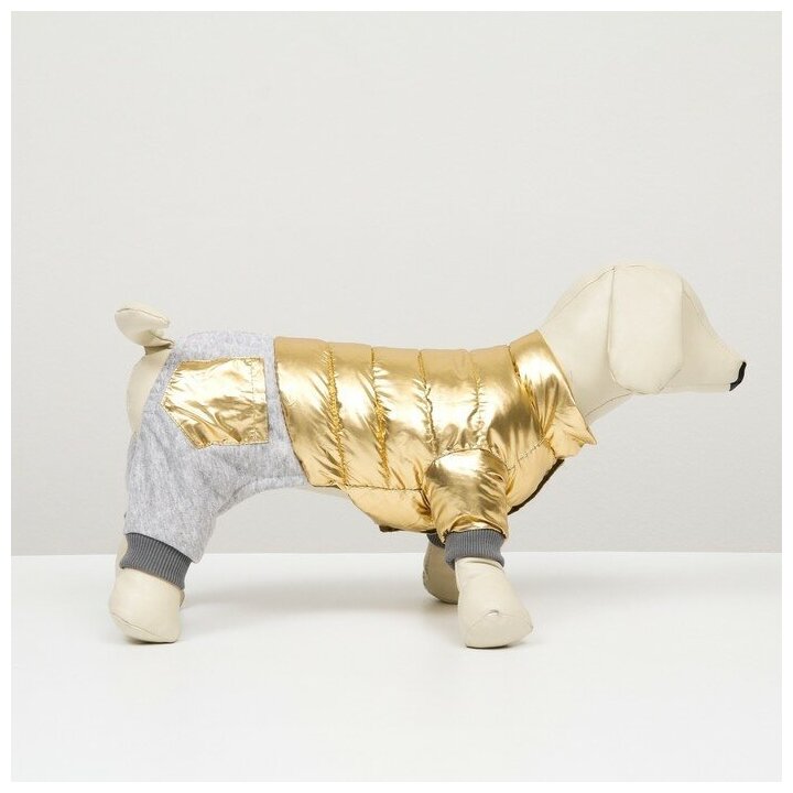 Комбинезон для собак КНР "Космонавт", размер 8, ДС 23 см, ОГ 30 см, ОШ 22 см, золотой (6968248)