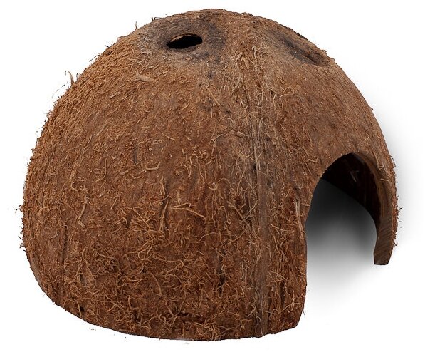 Пещера JBL GMBH & CO. KG JBL Cocos Cava половина кокоса большого размера L - фотография № 3