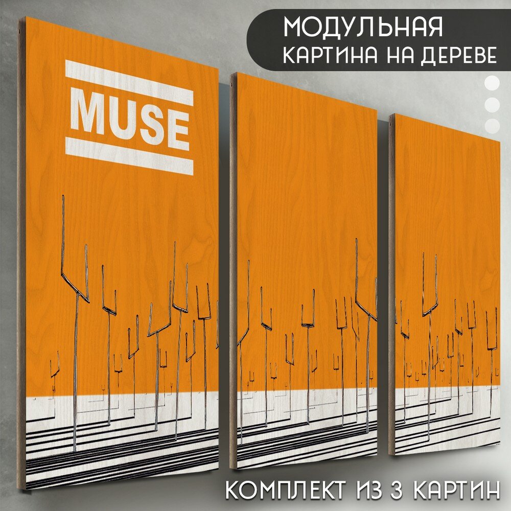 Модульная картина на дереве " музыка MUSE (Мьюс, рок, психоделик, Мэттью Беллами) - 6168"
