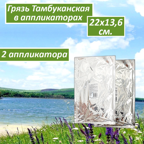 Грязь лечебная тамбуканская Liminera малый Аппликатор 22*13.6 cм, 200 г, 2 шт.