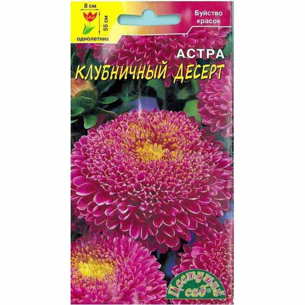 Семена Астра помпонная   Десерт Клубничный  однолетник  Цветущий Сад  1 пачка   0 2г семян