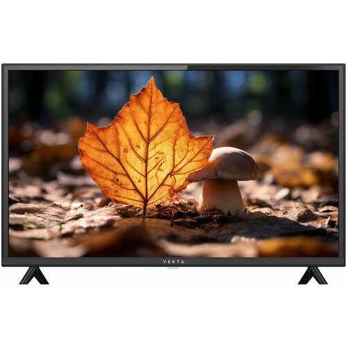 Телевизор VEKTA LD-32SR4860BS 12998₽