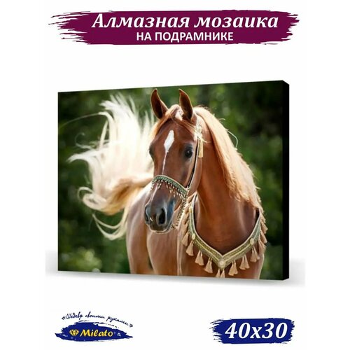 Алмазная мозаика на подрамнике 30х40 см MILATO 